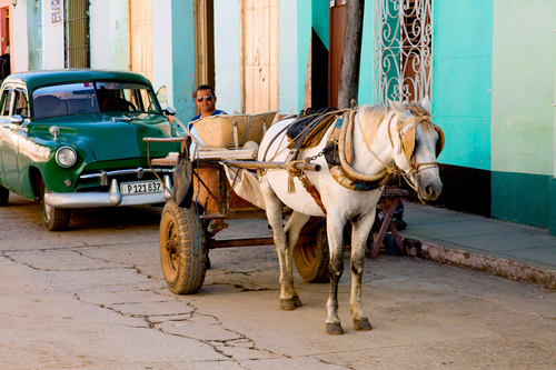 Car, Man, Horse, Havana