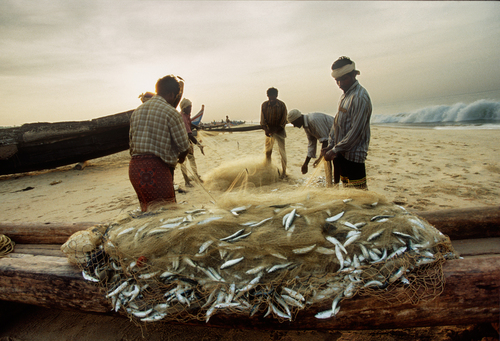 Kerala Fishermen