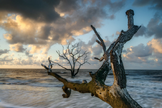 Blue Light At Boneyard Color Awards Winners and Nominees