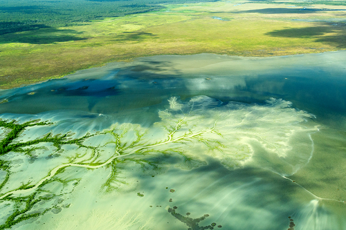 Wetlands, Kakadu National Park, Australia Wetlands, Kakadu National Park, Australia