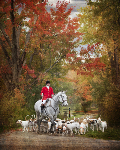 Foxhunting in Autumn