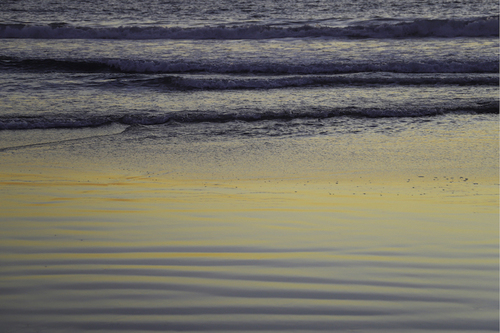 Contemplation of Water and Light 1 Contemplation of Water and Light 1