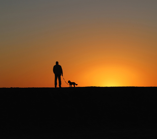 Man and Dog at Sunset