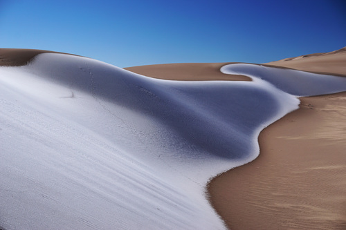 Frosted Dune