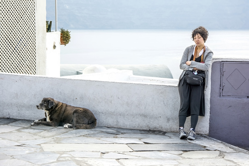 Dog Days in Greece