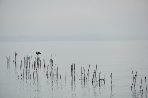 Lake Garda Winter Silence
