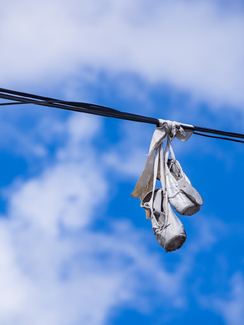 It's The Last Dance Color Awards Winners and Nominees