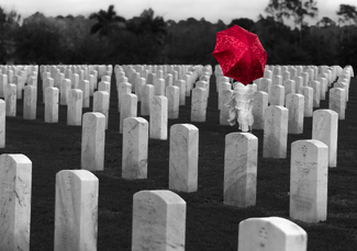Whisspers Amonst the Tombstones Color Awards Winners and Nominees