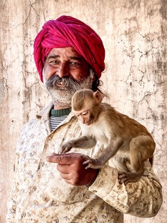 Guardian of the Temple Spirits Color Awards Winners and Nominees