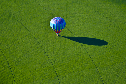 Green Wheat Field Landing