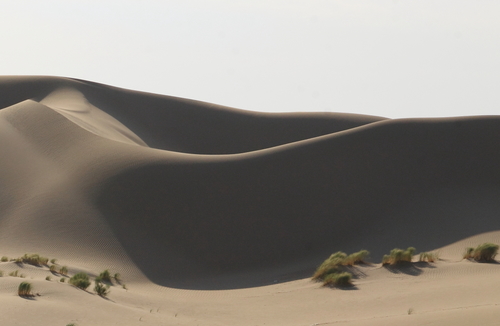 Sand Dune - Torso.