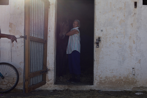 Lady at the Stables, Karoo - A Changing Landscape