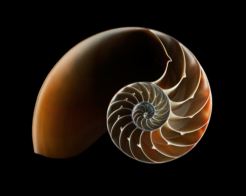 Fibonacci