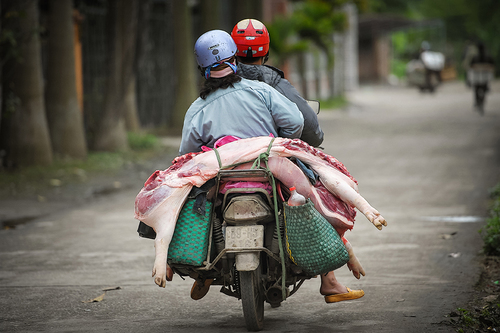 Vietnamese Couple on Morning Ride to Work