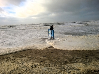 Sea level rising at the Netherlands coast Color Awards Winners and Nominees
