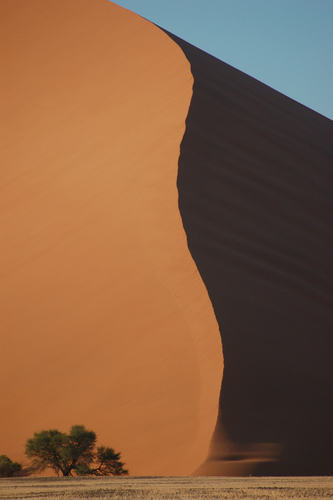 Namibian Dune 1