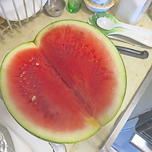 Medieval Watermelon