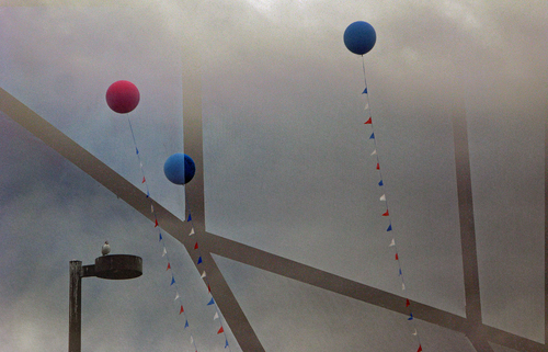 Ballons and Bird on Lightpost