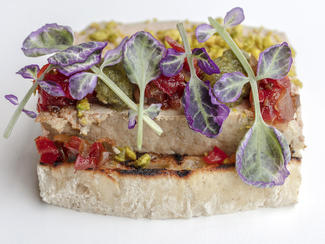 Pate Appetizer with Basil Color Awards Winners and Nominees