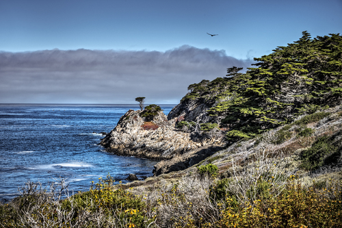 Headland Cove – Point Lobos