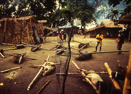 Malagan Fest, Little Tabar Island, New Ireland, PNG, 1995 Malagan Fest, Little Tabar Island, New Ireland, PNG, 1995