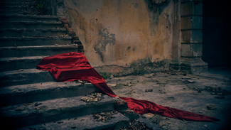 Domnatio Memoriae - a tale of love and loss Color Awards Winners and Nominees