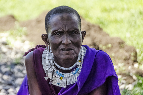 Massai Elder