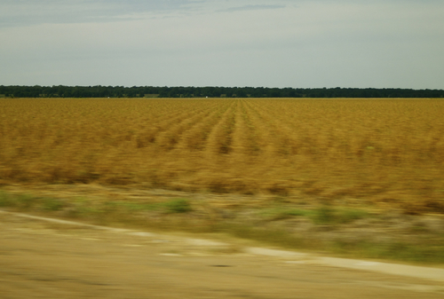Mississippi Delta by Car
