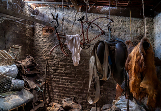 The Persistente of Memory, A Tribute to Dali Color Awards Winners and Nominees