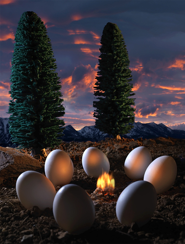 Eggs Around The Campfire