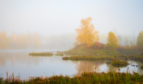 Misty Autumn Morning