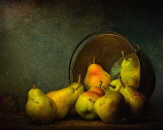 Brass bucket with pears Color Awards Winners and Nominees