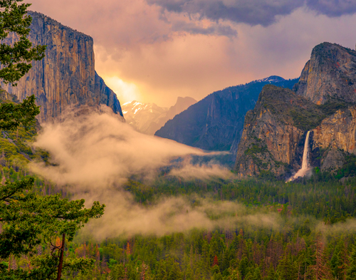 Yosemite Valley Fog