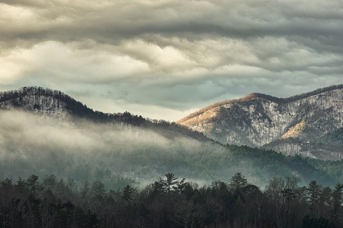 Foggy Morning in the Great Smoky Mountains