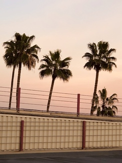 The Parking Lot Series #1 Color Awards Winners and Nominees