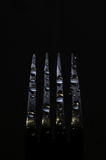 Fork Color Awards Winners and Nominees