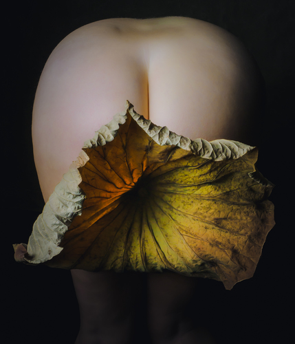 Nude with lotus leaf