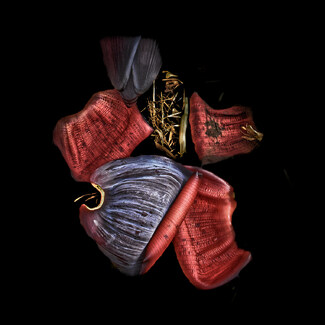 Heartbreaking Color Awards Winners and Nominees