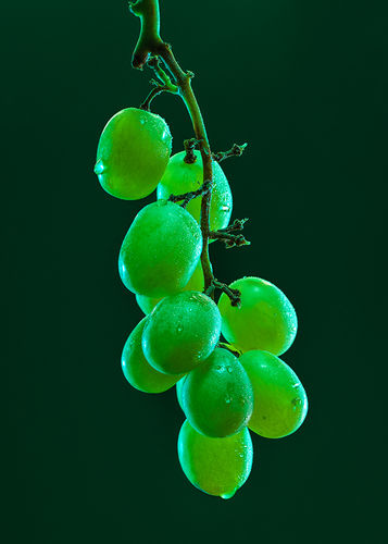 12 Grapes