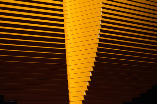Graphic Yellow Graphic Yellow