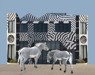 Checking Into The Zebra Hotel Color Awards Winners and Nominees