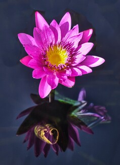 Broken Heart Color Awards Winners and Nominees