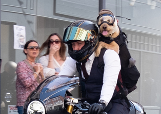 'Rodney' Goes for a Ride Color Awards Winners and Nominees
