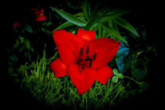 It’s Red Color Awards Winners and Nominees