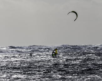 Riders of the Storm Color Awards Winners and Nominees