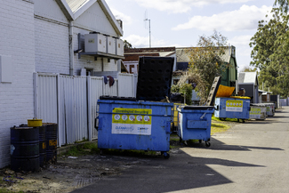 Skip Alley  Color Awards Winners and Nominees