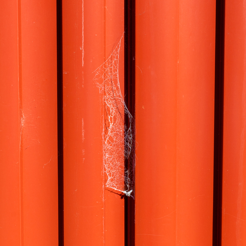 lone web on fence