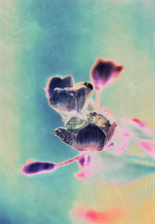 Beyond the edge of darkness 08 Color Awards Winners and Nominees