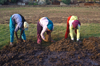 Being a woman in India Color Awards Winners and Nominees