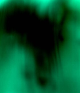 monochrom, not monochrom - dark green Color Awards Winners and Nominees